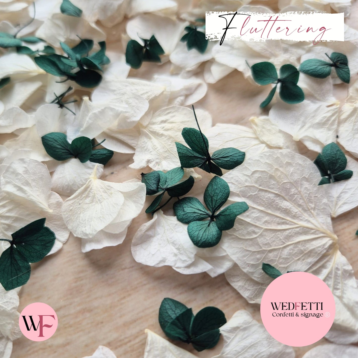 Petal Confetti hydrangea - Emerald Green White