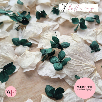 Petal Confetti hydrangea - Emerald Green White
