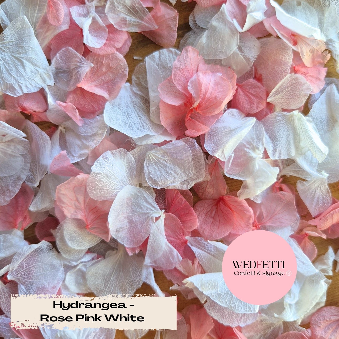 Petal Confetti hydrangea - Rose Pink White