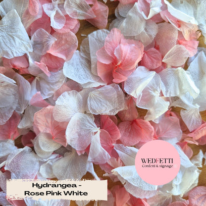 Petal Confetti hydrangea - Rose Pink White
