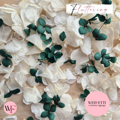 Petal Confetti hydrangea - Emerald Green White