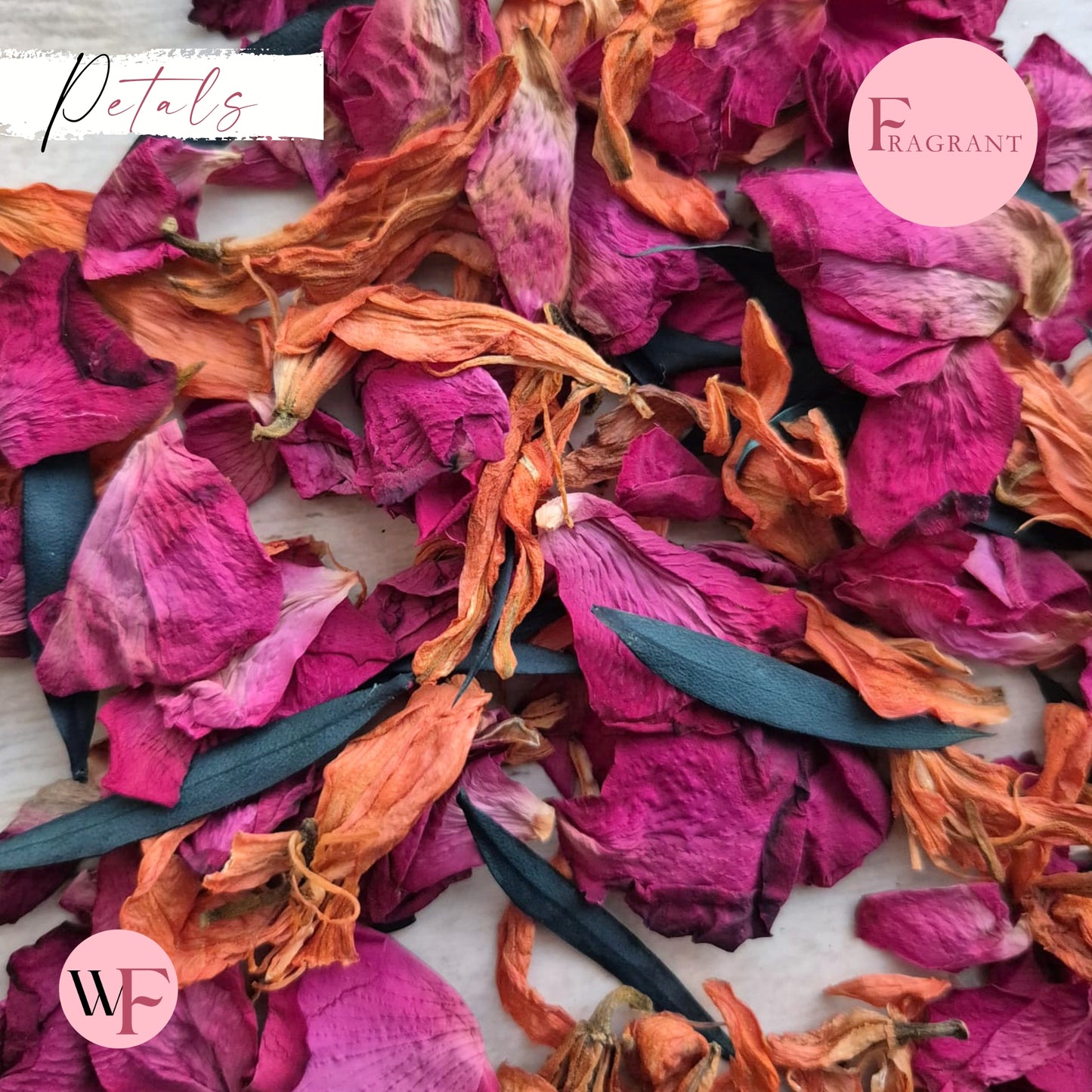 Petals - Lily & Rose + Eucalyptus
