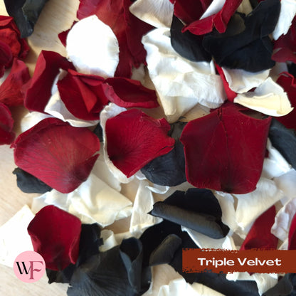 Rose Petals - Triple Velvet