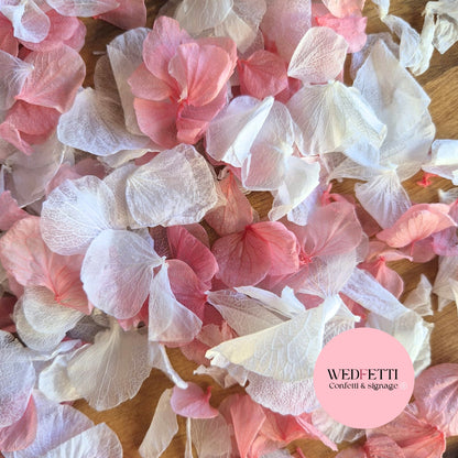 Petal Confetti hydrangea - Rose Pink White