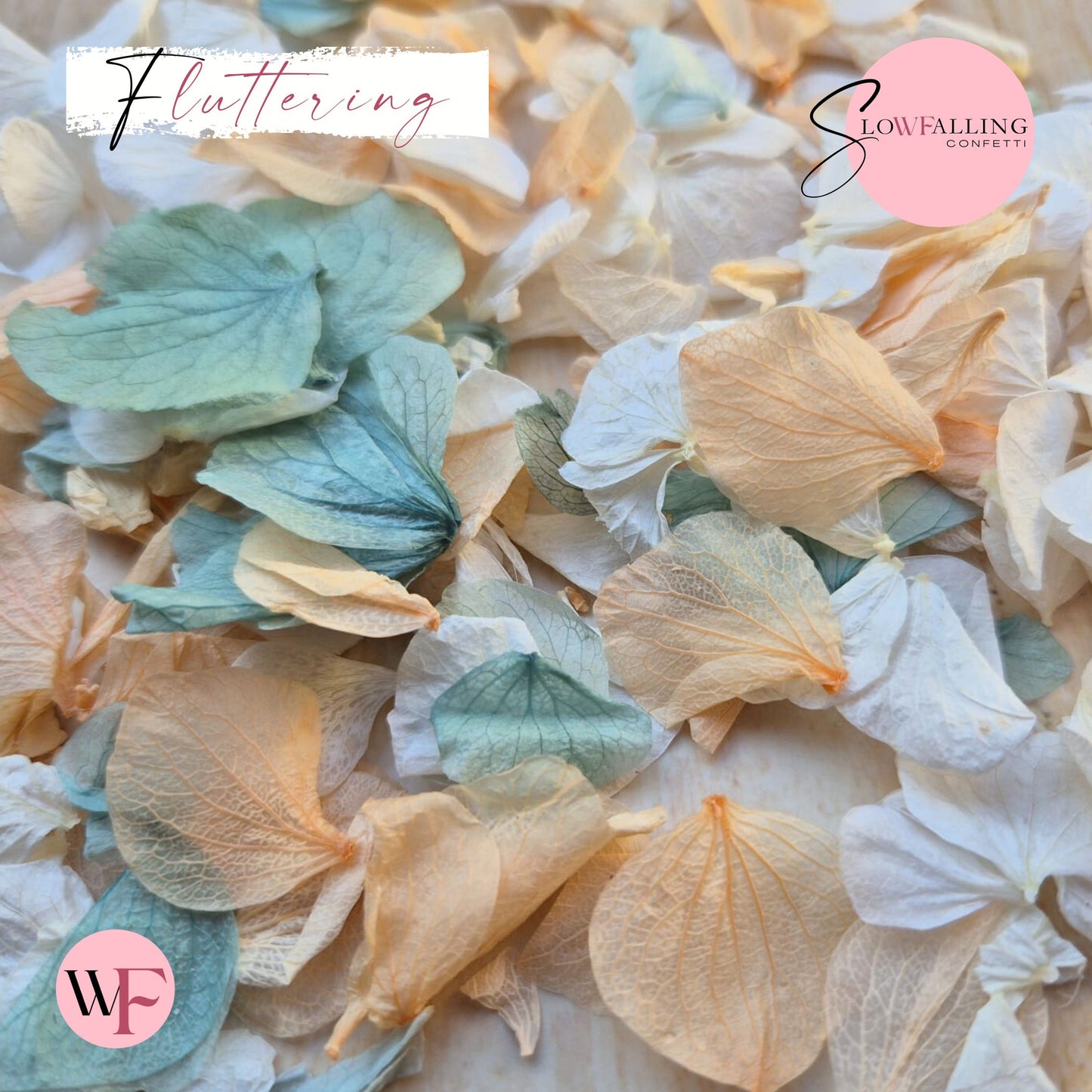 Petal Confetti hydrangea - Peach White Turquoise