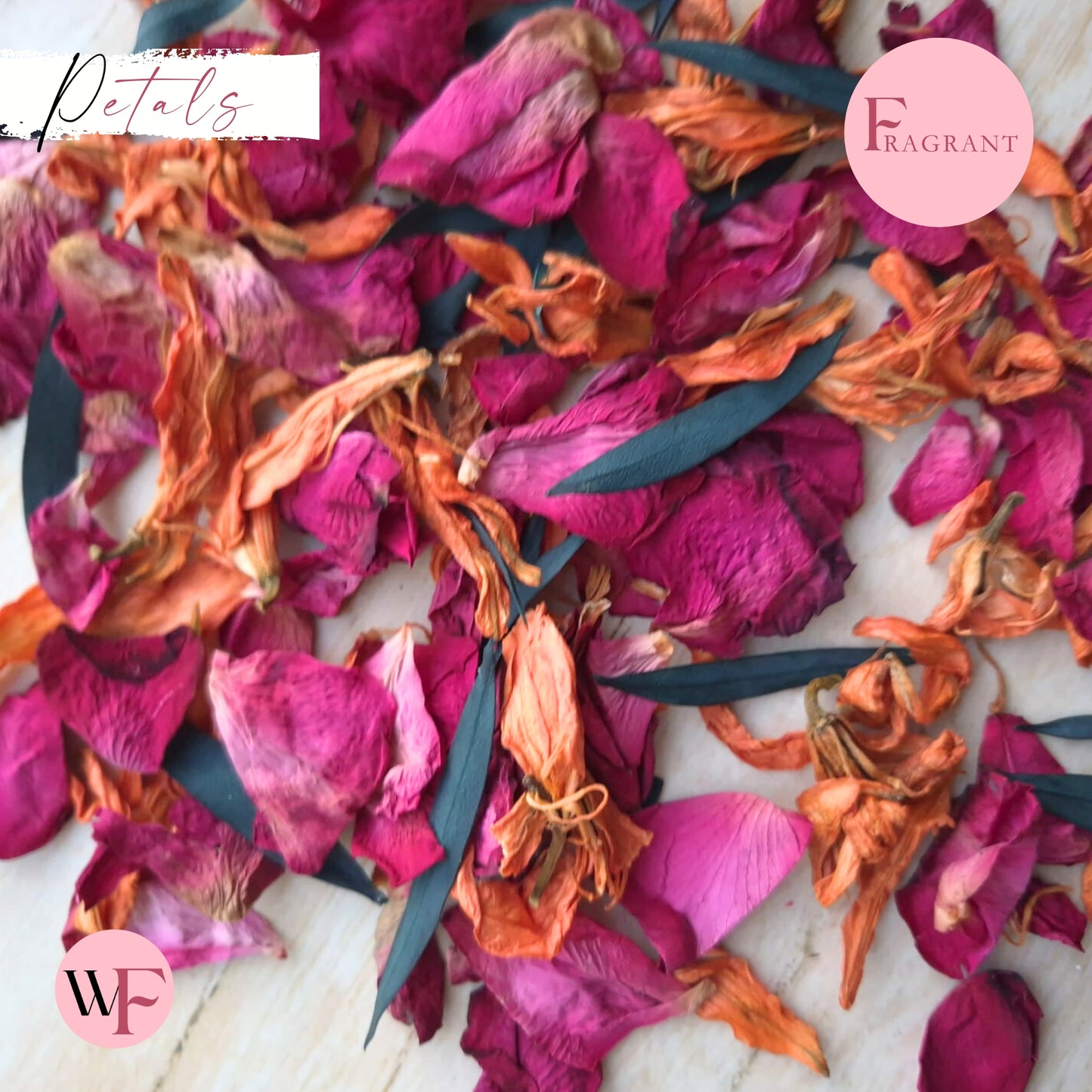 Petals - Lily & Rose + Eucalyptus