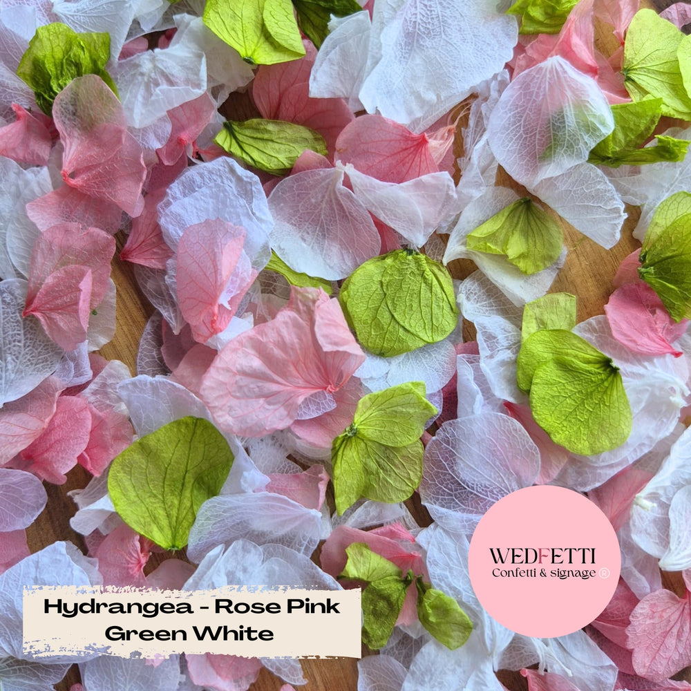 Petal Confetti hydrangea - Rose Pink Green White