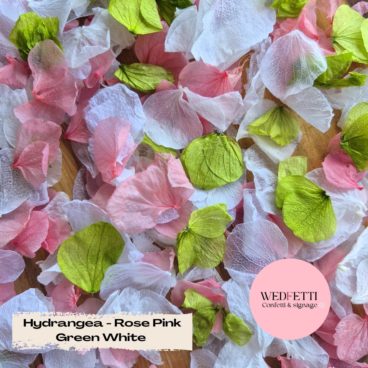 Petal Confetti hydrangea - Rose Pink Green White