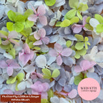 FlutterFly® Petal Confetti - Light Dusty Blue LSage White Blush