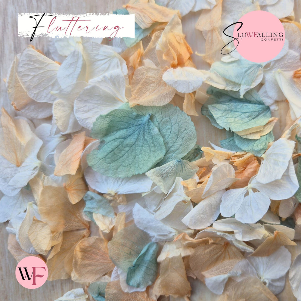 Petal Confetti hydrangea - Peach White Turquoise