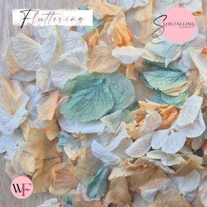 Petal Confetti hydrangea - Peach White Turquoise