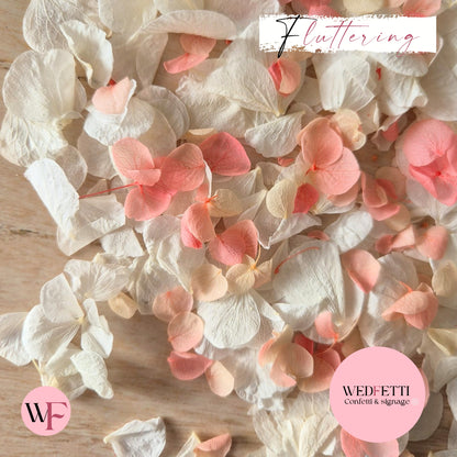 Petal Confetti hydrangea - Peach Pink gradient white