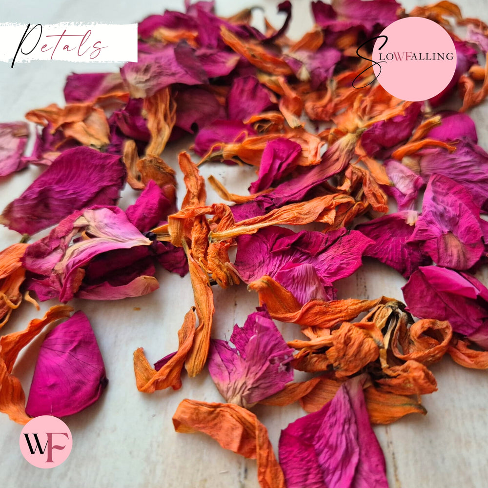 Petals - Lily & Rose