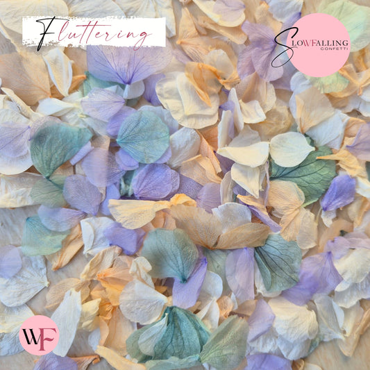 Petal Confetti hydrangea - Peach Purple Turquoise White