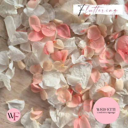 Petal Confetti hydrangea - Peach Pink gradient white