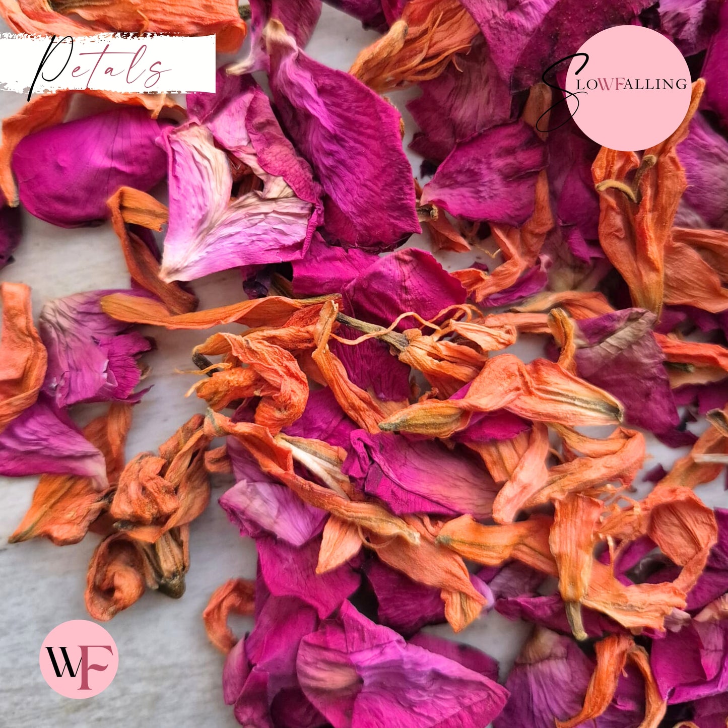 Petals - Lily & Rose