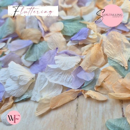Petal Confetti hydrangea - Peach Purple Turquoise White