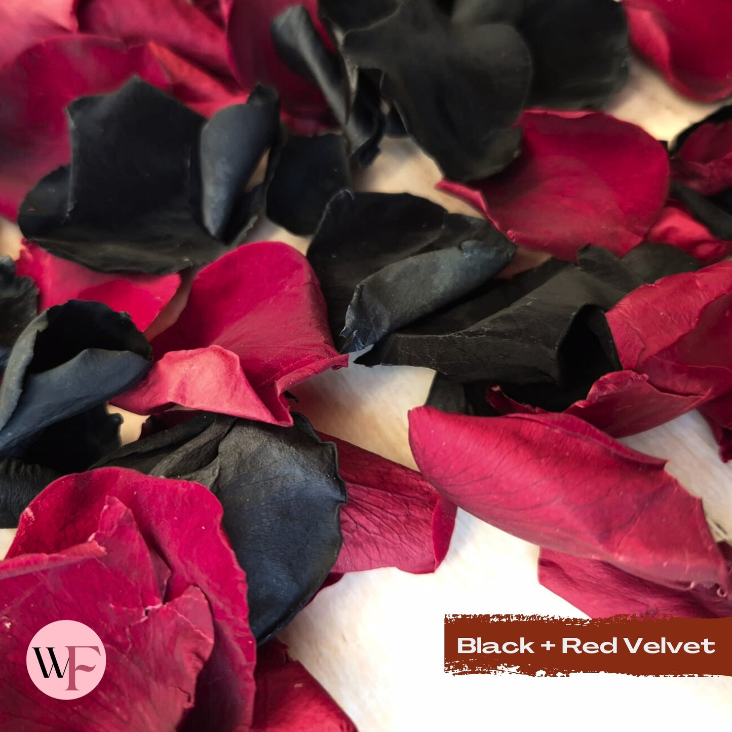 Rose Petals - Black & Red Velvet