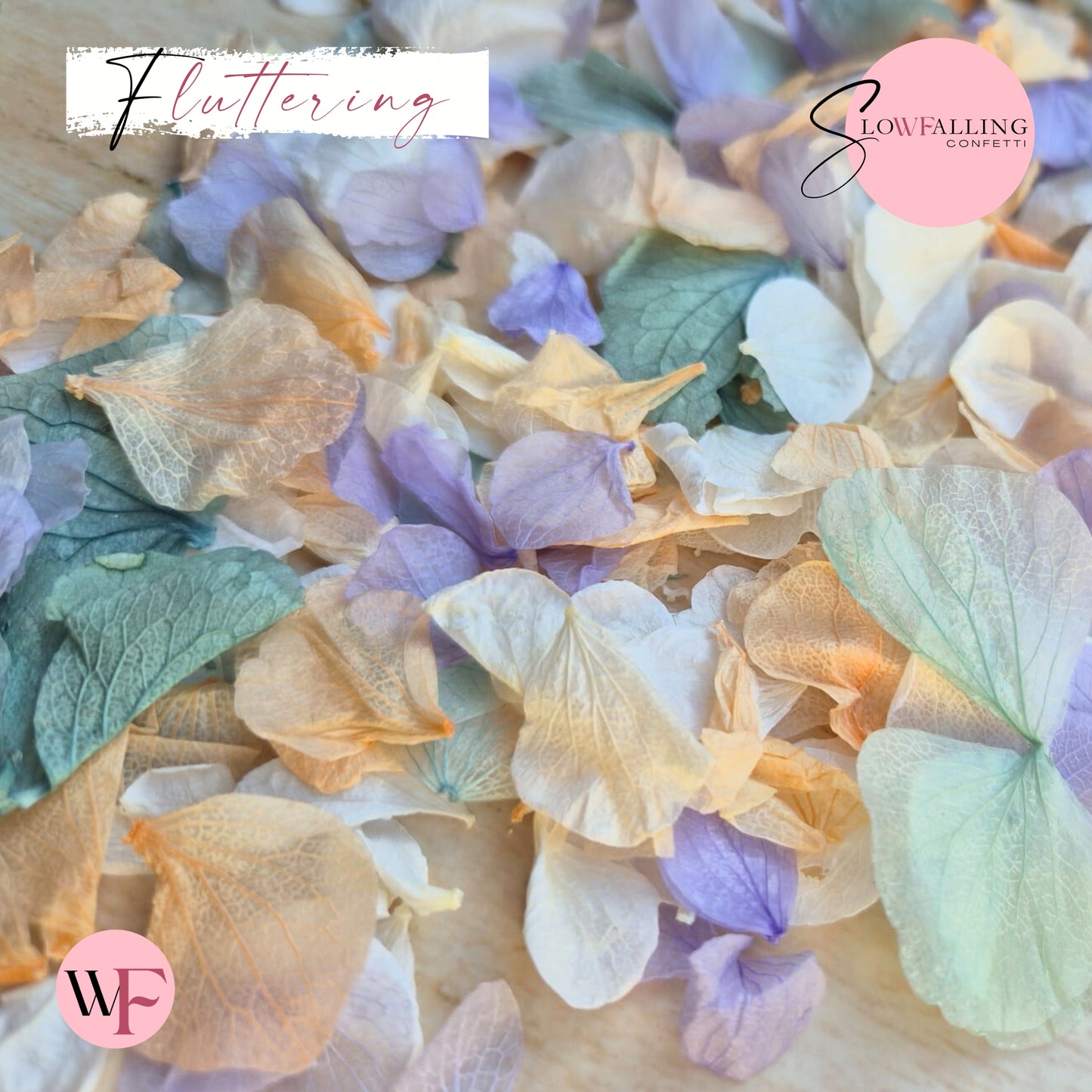 Petal Confetti hydrangea - Peach Purple Turquoise White