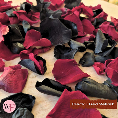 Rose Petals - Black & Red Velvet