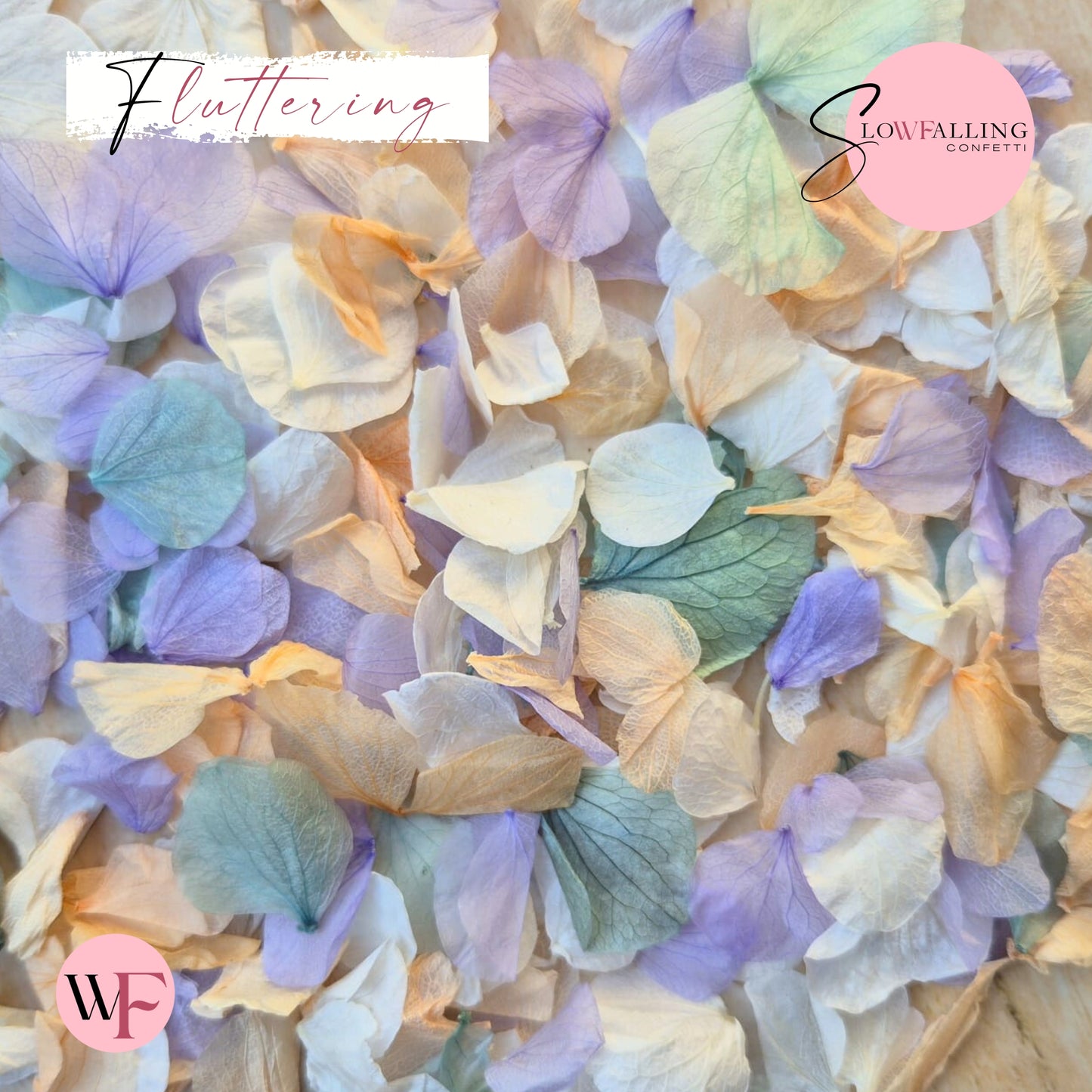 Petal Confetti hydrangea - Peach Purple Turquoise White