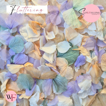 Petal Confetti hydrangea - Peach Purple Turquoise White