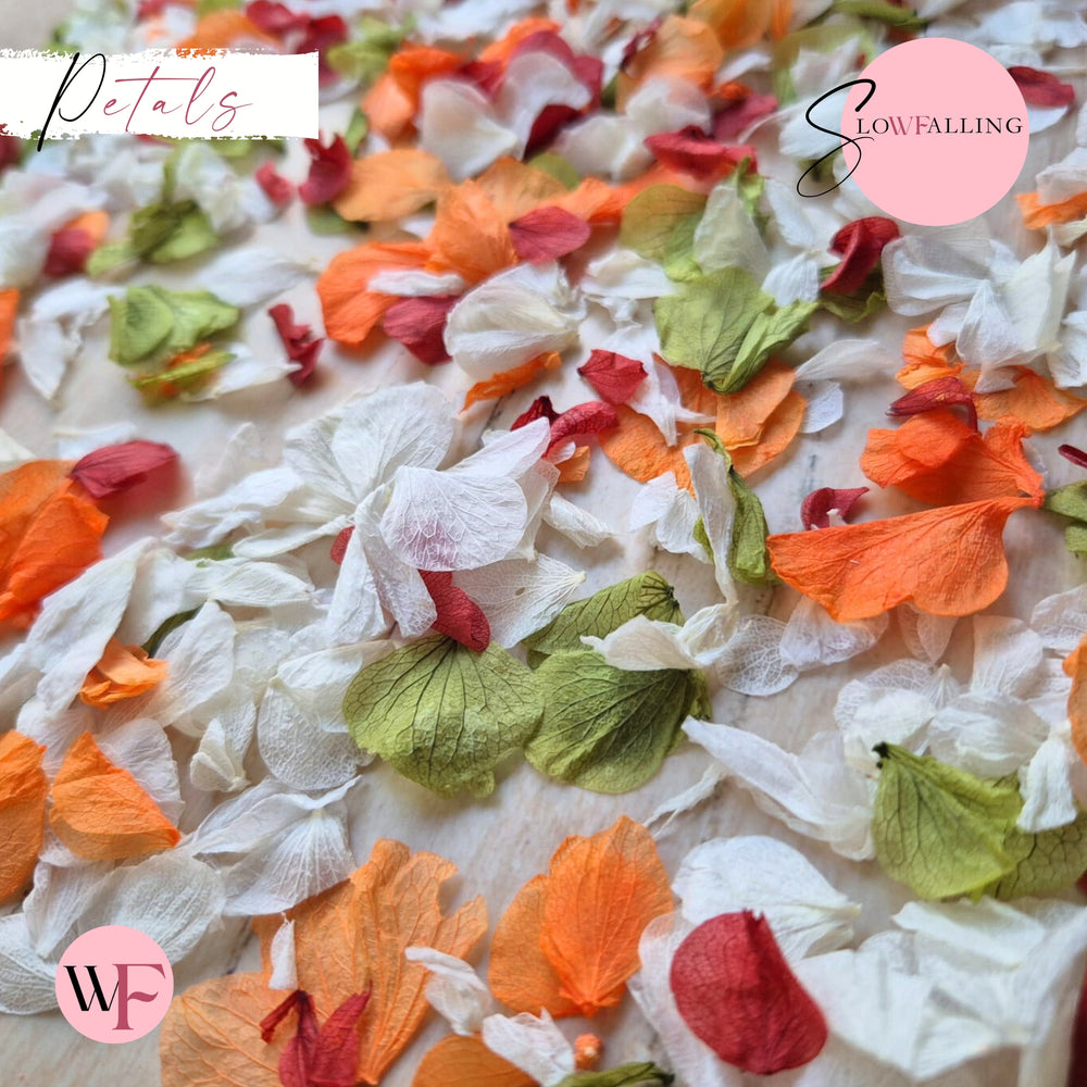 Petal Confetti hydrangea - October Sage Burgundy