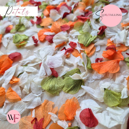 Petal Confetti hydrangea - October Sage Burgundy