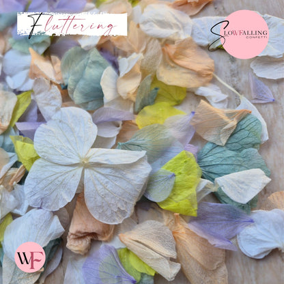 Petal Confetti hydrangea - Peach fruity mix