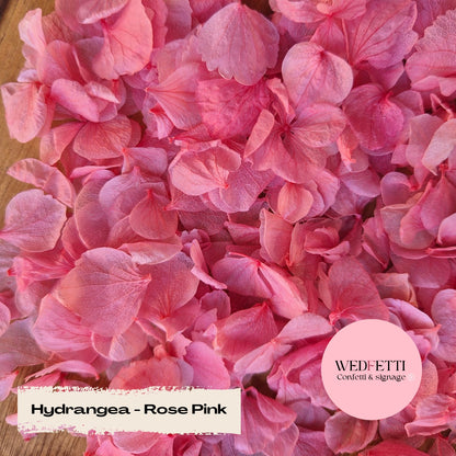 Petal Confetti hydrangea - Rose Pink