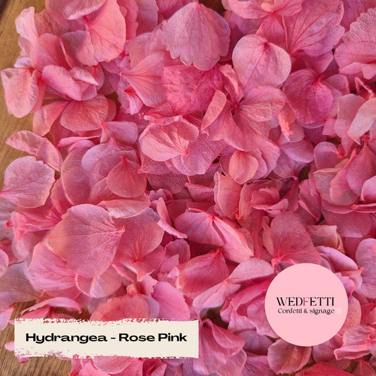 Petal Confetti hydrangea - Rose Pink