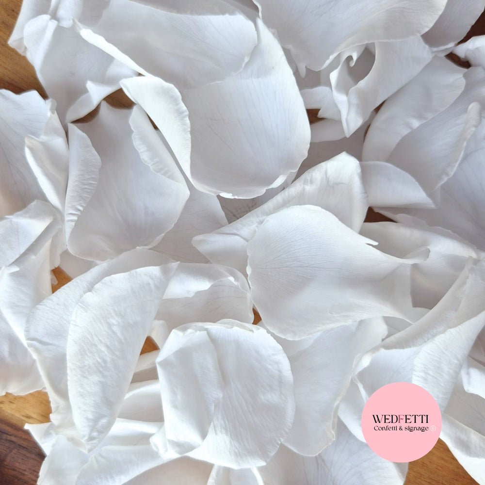 Rose Petals - Wedding White