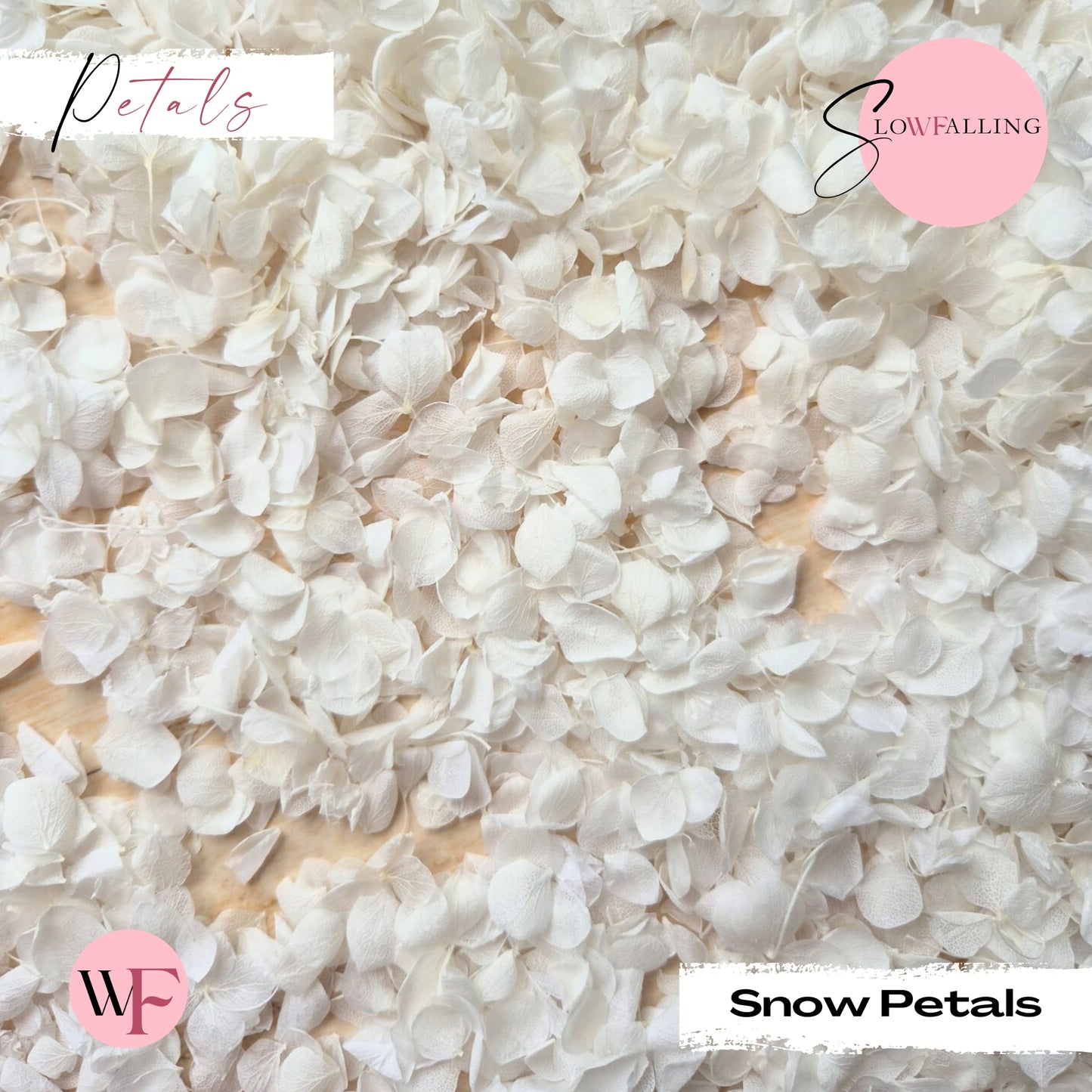 Snow Petal Confetti® - Snow Petals - White