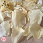 Rose Petals - Sherbet