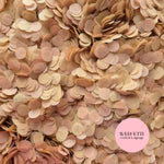 Slow falling paper Confetti - 2Nude