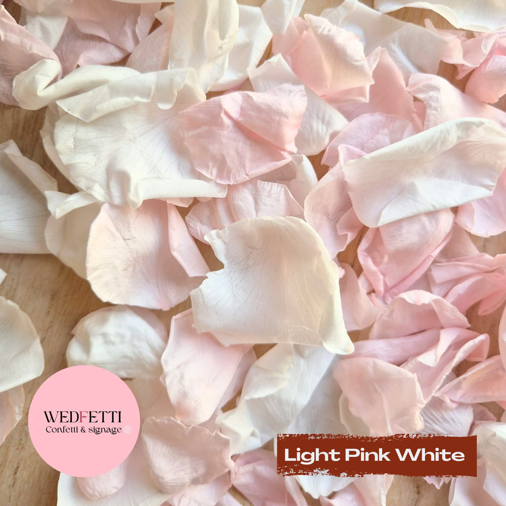 Rose Petals - Light Pink White
