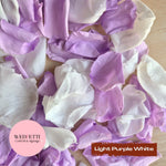 Rose Petals - Light Purple White