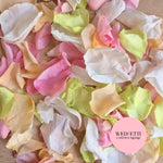 Rose Petals - Rose Pink Peach Lime White
