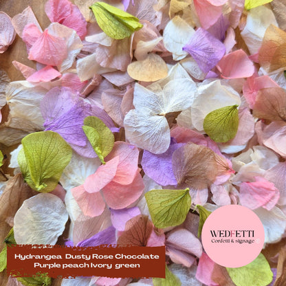 Petal Confetti hydrangea - Dusty Rose Chocolate purple peach Green Ivory
