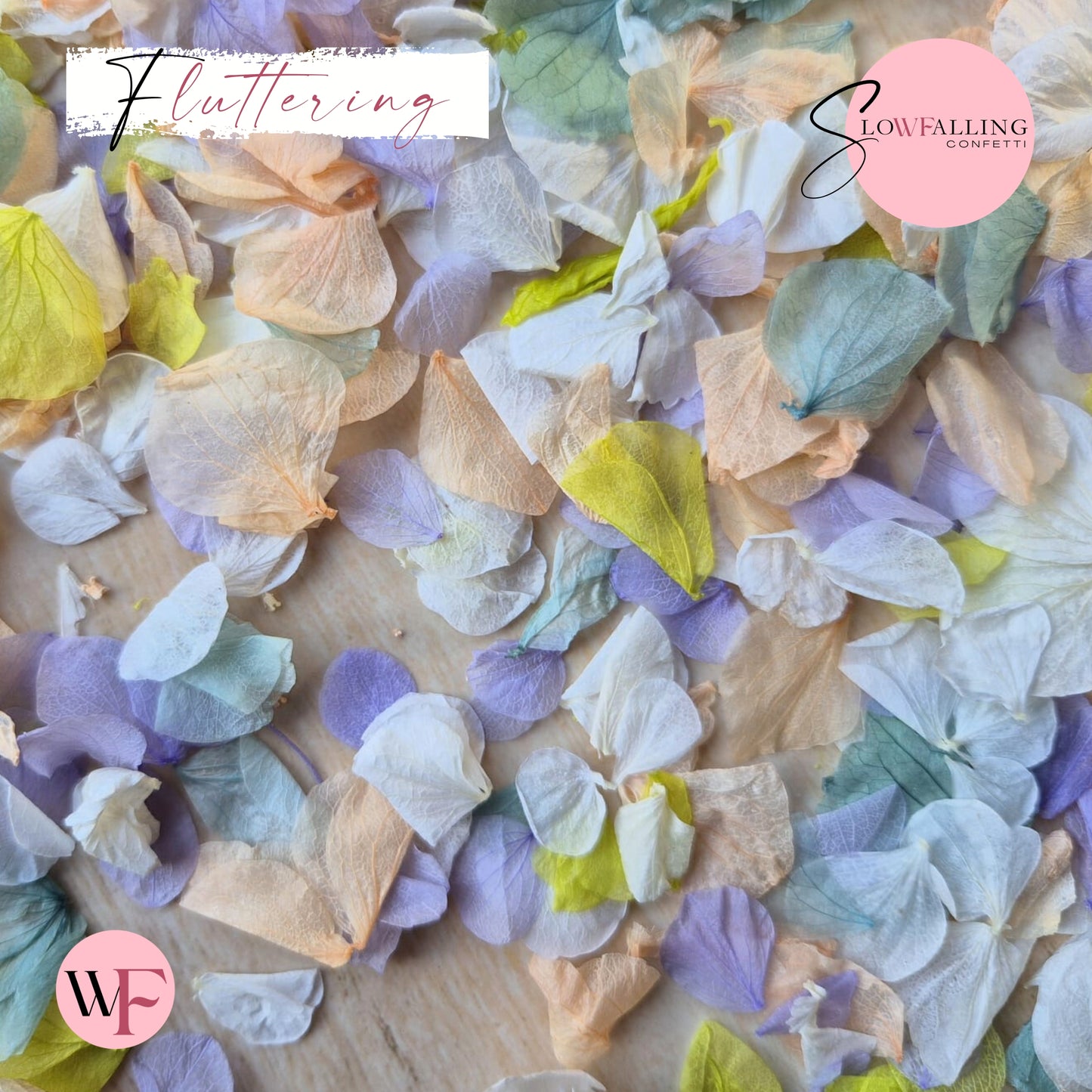 Petal Confetti hydrangea - Peach fruity mix