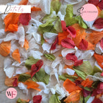 Petal Confetti hydrangea - October Sage Burgundy