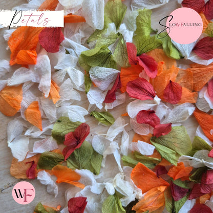 Petal Confetti hydrangea - October Sage Burgundy