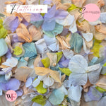 Petal Confetti hydrangea - Peach fruity mix