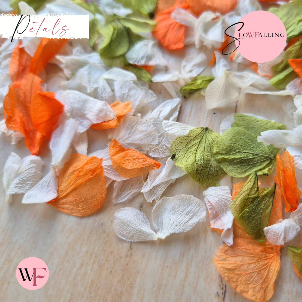 Petal Confetti hydrangea - October Sage