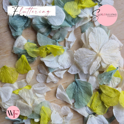 Petal Confetti hydrangea - White Turquoise Lime