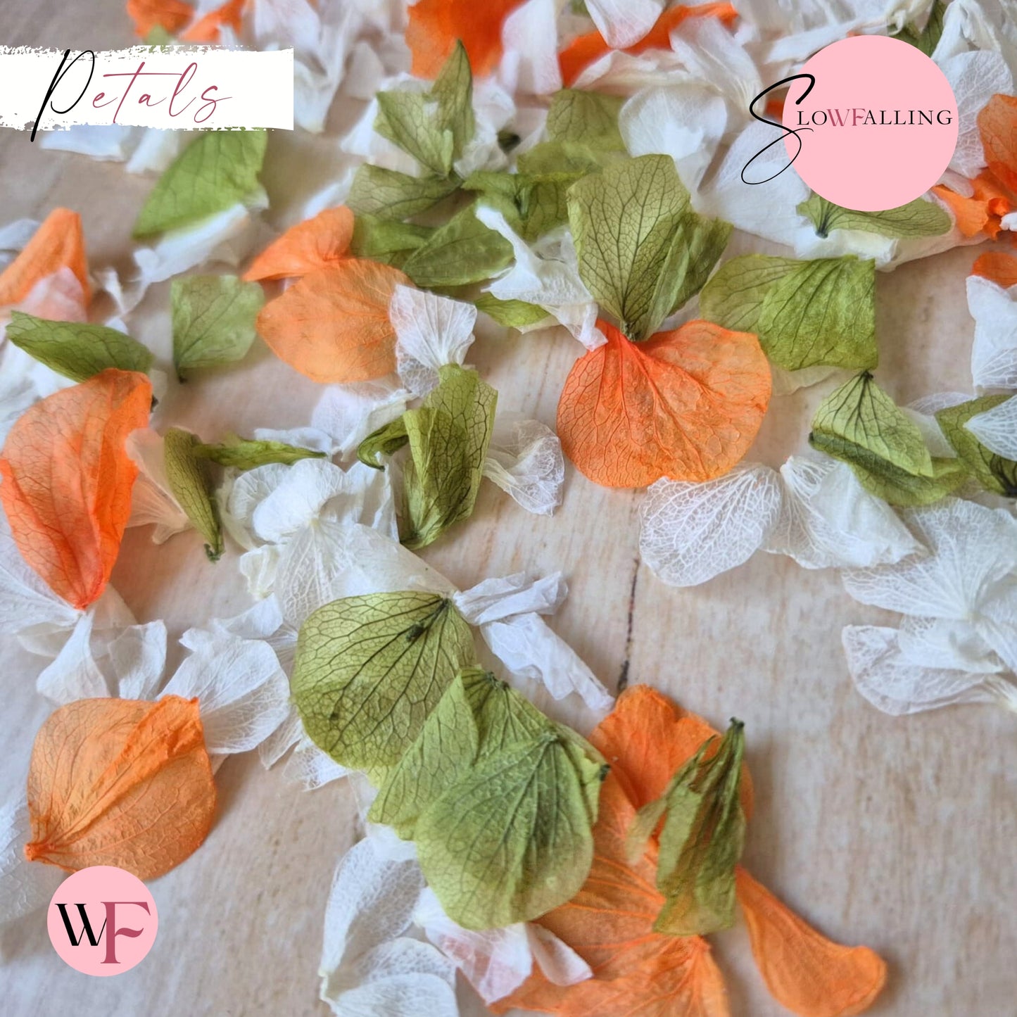 Petal Confetti hydrangea - October Sage