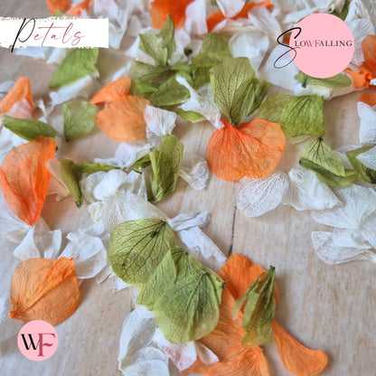 Petal Confetti hydrangea - October Sage