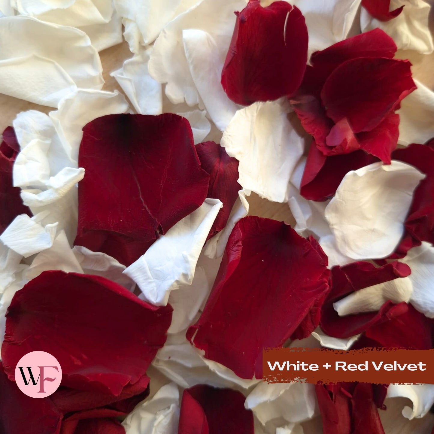 Rose Petals - White & Red Velvet