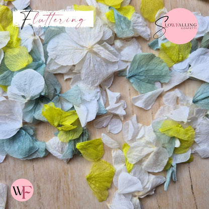 Petal Confetti hydrangea - White Turquoise Lime