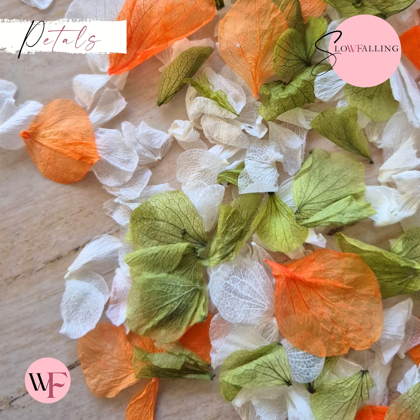 Petal Confetti hydrangea - October Sage